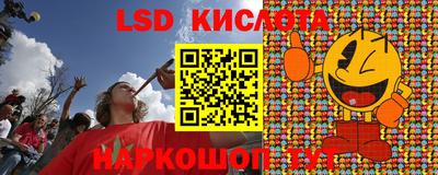 a pvp Краснознаменск