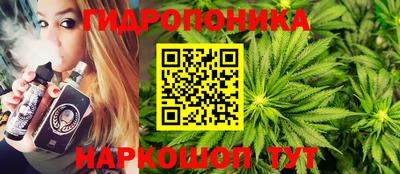 a pvp Краснознаменск