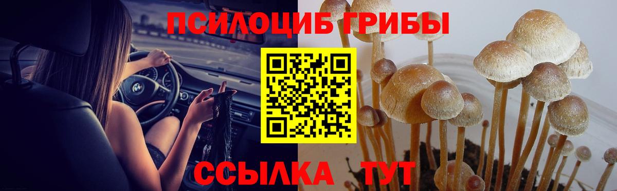 Псилоцибиновые грибы ЛСД  Вход с VPN  Псилоцибиновые грибы Psilocybe  Волжск 